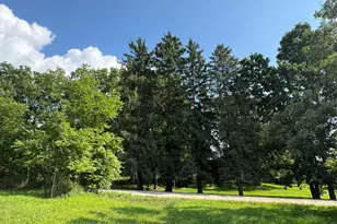 16683 Winters Rd, Grass Lake, MI 49240 - Photo 37