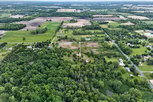 5569 S Corey Rd, Perry, MI 48872 - Photo 43