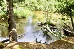 1351 W White Rd, Free Soil, MI 49411 - Photo 17