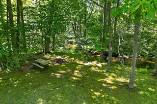 3076 Senator Rd, Sheridan, MI 48884 - Photo 39