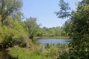 4861 Chauncey Dr NE, Belmont, MI 49306 - Photo 105