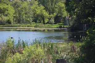 4861 Chauncey Dr NE, Belmont, MI 49306 - Photo 51