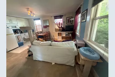 118 Felch Street, Ann Arbor, MI 48103 - Photo 29