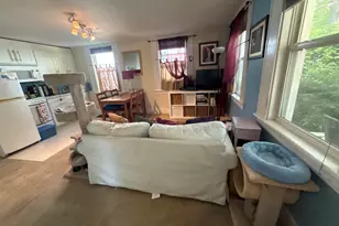 118 Felch St, Ann Arbor, MI 48103 - Photo 29