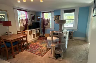 118 Felch St, Ann Arbor, MI 48103 - Photo 31