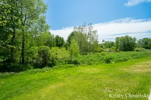 2162 S Stone Rd, Fremont, MI 49412 - Photo 45