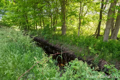 2162 S Stone Road, Fremont, MI 49412 - Photo 47