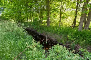2162 S Stone Rd, Fremont, MI 49412 - Photo 47