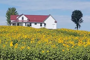 4072 20 Mile Rd, Marion, MI 49665 - Photo 1
