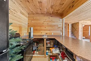 15902 Penesal Rd, Leroy, MI 49655 - Photo 33