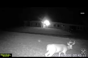 15902 Penesal Rd, Leroy, MI 49655 - Photo 67