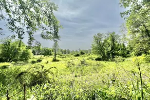 16400 28 Mile Rd, Albion, MI 49224 - Photo 53