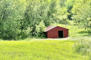 16400 28 Mile Rd, Albion, MI 49224 - Photo 15