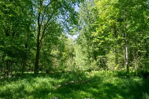 4658 W Fern Gln, Fremont, MI 49412 - Photo 63