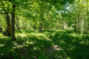 4658 W Fern Gln, Fremont, MI 49412 - Photo 65