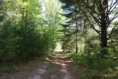 11547 E 1 Mile Road, Leroy, MI 49655 - Photo 9