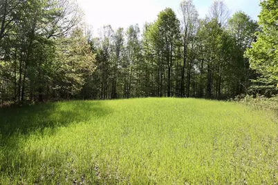 11547 E 1 Mile Road, Leroy, MI 49655 - Photo 45