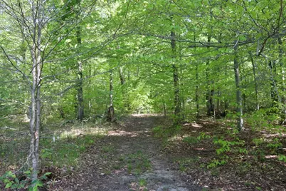 11547 E 1 Mile Road, Leroy, MI 49655 - Photo 61