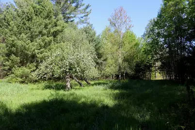 11547 E 1 Mile Road, Leroy, MI 49655 - Photo 59