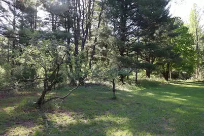 11547 E 1 Mile Road, Leroy, MI 49655 - Photo 55