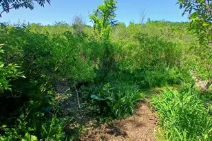 9777 N 16th St, Plainwell, MI 49080 - Photo 35