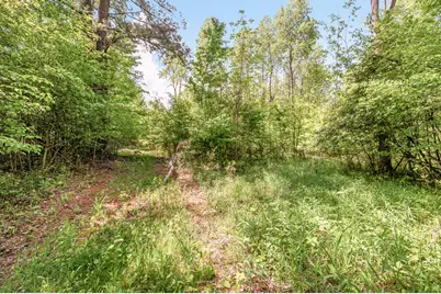 V/L 220th Avenue, Big Rapids, MI 49307 - Photo 13