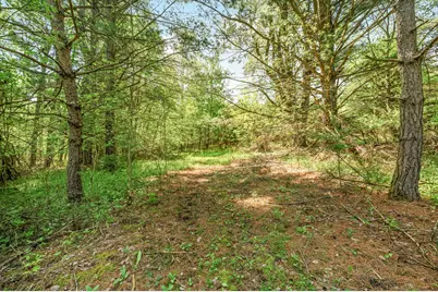 V/L 220th Avenue, Big Rapids, MI 49307 - Photo 23