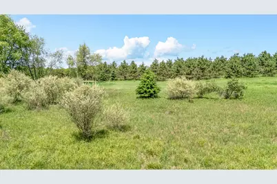 V/L 3rd St, Stanton, MI 48888 - Photo 13