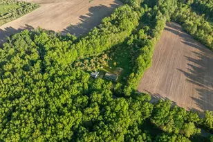 9423 E Baker Rd, Hesperia, MI 49421 - Photo 45