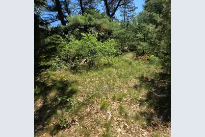 Wilma's Way #Parcel E, Baldwin, MI 49304 - Photo 5