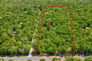 11610 Fogg Lake Rd, Montague, MI 49437 - Photo 5