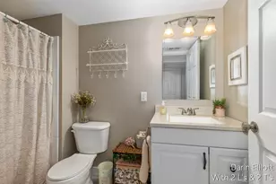 171 Foxtail Dr, Ionia, MI 48846 - Photo 23