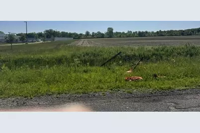 7200 B W US Highway 12, Schwark Road, Three Oaks, MI 49128 - Photo 3