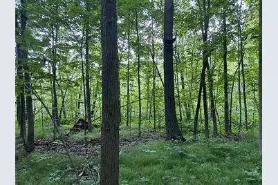 15300 Rome Road, Manitou Beach, MI 49253 - Photo 23