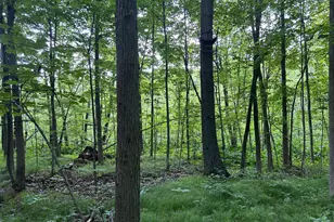 15300 Rome Rd, Manitou Beach, MI 49253 - Photo 23