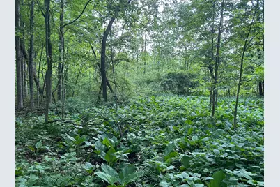 15300 Rome Road, Manitou Beach, MI 49253 - Photo 21