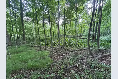15300 Rome Road, Manitou Beach, MI 49253 - Photo 19
