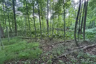 15300 Rome Rd, Manitou Beach, MI 49253 - Photo 19
