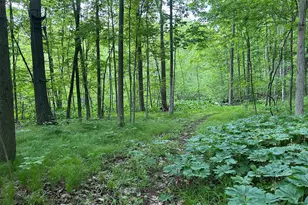 15300 Rome Rd, Manitou Beach, MI 49253 - Photo 25