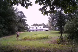 4654 W Woods Rd, Sidney, MI 48885 - Photo 41
