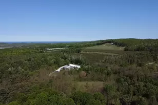 8819 Erdman Rd, Onekama, MI 49675 - Photo 55
