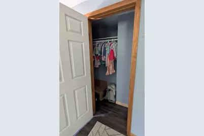619 N Williams Street, Bellevue, MI 49021 - Photo 29