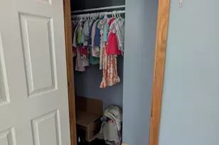 619 N Williams St, Bellevue, MI 49021 - Photo 29