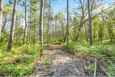 V/L Nelson St, Baldwin, MI 49304 - Photo 1