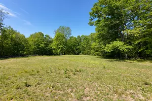 4196 W 4 Mile Rd, White Cloud, MI 49349 - Photo 51