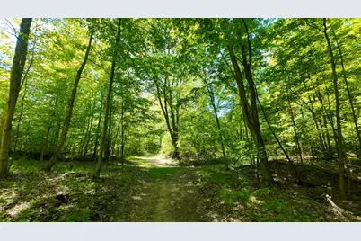 4196 W 4 Mile Road, White Cloud, MI 49349 - Photo 47