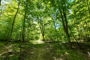4196 W 4 Mile Rd, White Cloud, MI 49349 - Photo 47