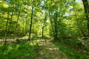 4196 W 4 Mile Rd, White Cloud, MI 49349 - Photo 43