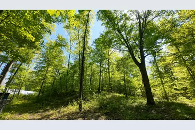 4196 W 4 Mile Road, White Cloud, MI 49349 - Photo 45