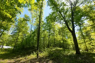 4196 W 4 Mile Rd, White Cloud, MI 49349 - Photo 45
